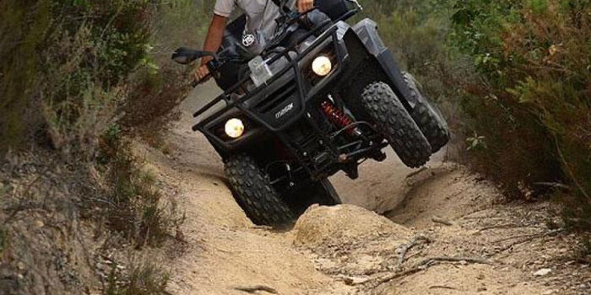 Правила выбора квадроцикла