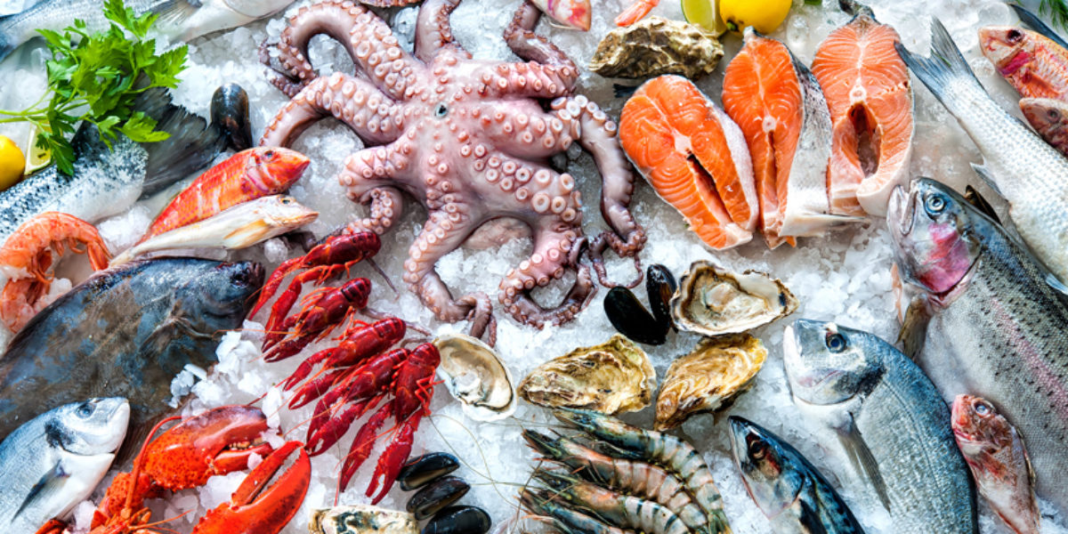 Как перевозят рыбу в рефрижераторе?